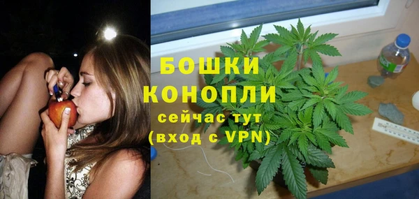 мдпв Волоколамск