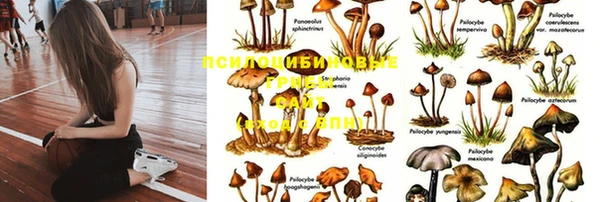 трава Волосово