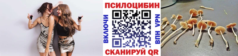 Галлюциногенные грибы ЛСД Каменногорск